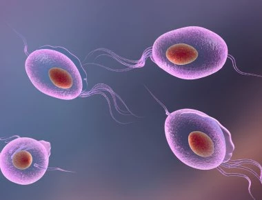 Τριχομονάδες: Προσοχή στα «αθώα» συμπτώματα- Ποια είναι σε γυναίκες και άντρες